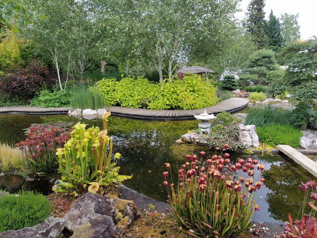 Jardin aquatique Acorus à Autoreille